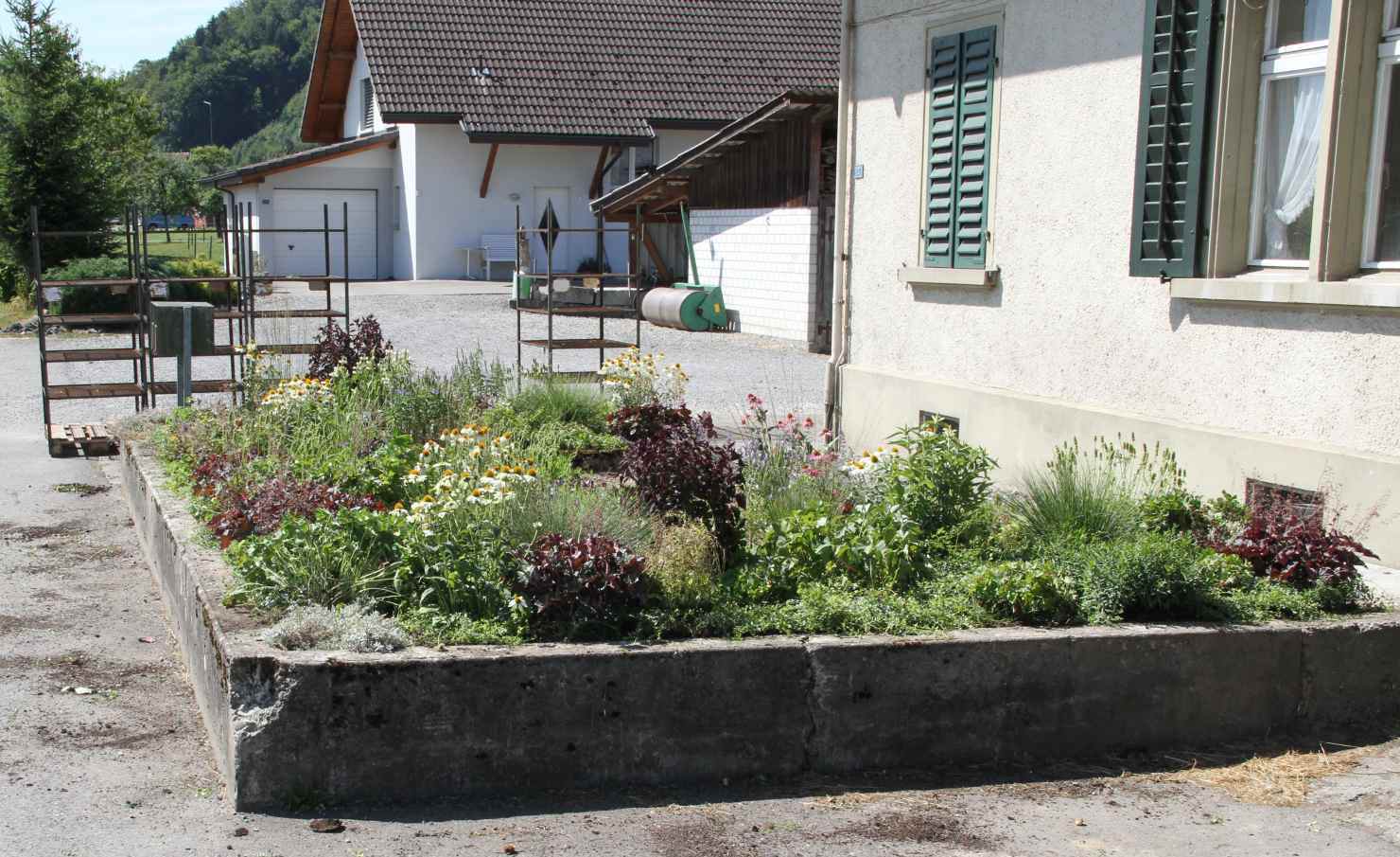BP Beispiel03