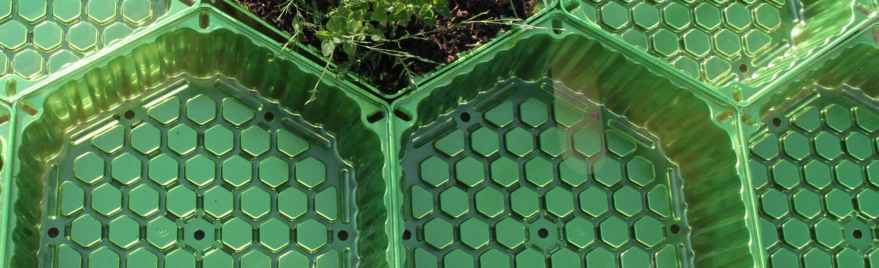 Produktion Sellana Honey Meadow